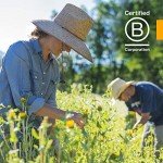 Organic Alcohol-Free Echinacea Root Extract - Immune Support