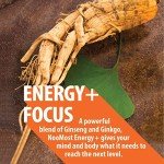 Korean Red Ginseng & Ginkgo Biloba Capsules - 120 Vegan