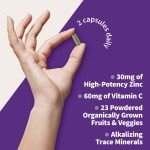 Garden of Life High Potency Zinc & Vitamin C Capsules