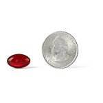 MegaRed Krill Oil 500mg Softgels for Heart Health