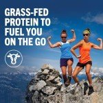 Creamy Chocolate Fudge Protein Shake - 20g Whey