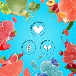 Shameless Snacks - Low Calorie Keto Gummies Variety Pack