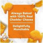 Cheddar Cheese Goldfish Crackers - 20 Snack Packs