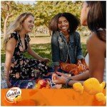 Cheddar Cheese Goldfish Crackers - 20 Snack Packs