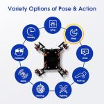 Programmable Bionic Spider Robot Kit for Kids