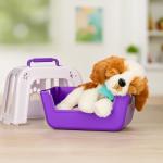 Little Live Pets My Really Real Puppy Patches The Beagle, Interactive Realistic Toy Dog with 60+ Sounds and 2-in-1 Bed, Lifelike Puppy for Ages 5+