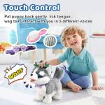 Walking Husky Barking Dog Toy for Child Kid Licking Talking Dog with Leash, Interactive Puppy that Barks Tail Wagging Plush Robot Dog Singing Electric Pet Pretend Dog Dress Up Christmas Boy Girl Gift