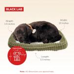 Perfect Petzzz - Original Petzzz Black Lab, Realistic, Lifelike Stuffed Interactive Pet Toy, Companion Pet Dog with 100% Handcrafted Synthetic Fur