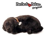 Perfect Petzzz - Original Petzzz Black Lab, Realistic, Lifelike Stuffed Interactive Pet Toy, Companion Pet Dog with 100% Handcrafted Synthetic Fur