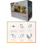 Plush Interactive Maltese Simulation Dog- Puppy Dog Toy for Kids-with Walking, Barking, Wagging Tail & Talking- Robotic Present Pet Toy for Toddler Kids Girls Boys