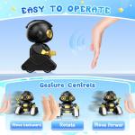 BAIWU Robot Toys for Kids,RC Robot with Gesture Sensing & LED Eyes,Star Projector and Music,Easter Gifts for 6+ Years Boys(Black)