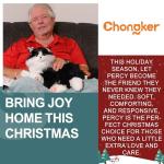 Chongker Interactive Companion Robot Cat Pets, Handmade Weighted Stuffed Animals, Cat Plush Toy with Voice Response, Realistic Heartbeat and Purring, Black Cat
