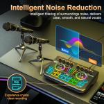 Podcast Equipment Bundle for 2 Mic Tiktok Video Content Creator Kit, Audio Interface DJ Mixer Sound Card Board Condenser Microphone kit Perfect for Studio Live Streaming for Smartphone PCYouTubeLaptop