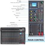 Depusheng DT12 Studio Audio Mixer 12-Channel DJ Sound Controller Interface w/USB Drive for Computer Recording Input, XLR Microphone Jack, 48V Power, RCA Input/Output for Professional and Beginners