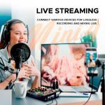 Audio Mixer D Debra Audio Mini4 Portable 4-Channel DJ Mixer Console, Sound Mixing Board with USB Bluetooth 48V Phantom Power, Audio Console for Live Wedding Party Recording Broadcast (Mini4)