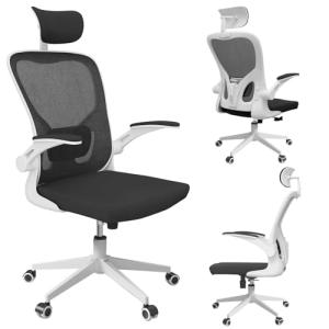 Ergonomic Office Chair, High-Back Desk Chair with 2D Headrest,Mesh Office Chair with Flip-Up Arms,Up&Down Lumbar Support, 90-135° Tilt Lock Big and Tall Computer Desk Chairs for Home,Bedroom,Study