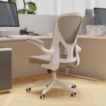 SICHY AGE Ergonomic Office Chair with Adjustable Lumbar Support & Flip-Up Armrests - High Back Computer Desk Chair with Thickened Seat Cushion, Rolling Wheels for Home/Office Study Work