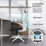Ergonomic Office Chair, High-Back Desk Chair with 2D Headrest,Mesh Office Chair with Flip-Up Arms,Up&Down Lumbar Support, 90-135° Tilt Lock Big and Tall Computer Desk Chairs for Home,Bedroom,Study
