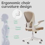 SICHY AGE Ergonomic Office Chair with Adjustable Lumbar Support & Flip-Up Armrests - High Back Computer Desk Chair with Thickened Seat Cushion, Rolling Wheels for Home/Office Study Work