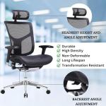 GM Seating Dreem XL Ergonomic Office Chair - Mesh Hi Back Executive Desk Chair - Polished Alumimum Base with Headrest Modern Comfortable Desk Chair for Home and Office - Black