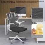 Ergonomic Office Chair, High-Back Desk Chair with 2D Headrest,Mesh Office Chair with Flip-Up Arms,Up&Down Lumbar Support, 90-135° Tilt Lock Big and Tall Computer Desk Chairs for Home,Bedroom,Study