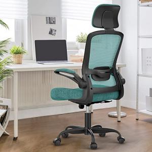 Ergonomic Mesh Home Office Chair | High Back Computer Desk Chair with Adjustable Lumbar Support & Headrest | Swivel Task Chair with Flip-Up Armrests for Home & Office (English, Green)