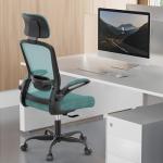 Ergonomic Mesh Home Office Chair | High Back Computer Desk Chair with Adjustable Lumbar Support & Headrest | Swivel Task Chair with Flip-Up Armrests for Home & Office (English, Green)