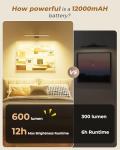 PopoIron Wireless LED Picture Light for Wall Art with Remote, 3 Color Temps, Dimmable, 12000mAh Battery Operated Sconce for Gallery Library Museum Frame Painting Artwork Photo Display