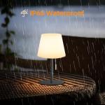 Gewiny Outdoor Battery Operated Table Lamp Cordless Shower Lamp Waterproof LED Dimmable Warm White and RGB Table Lamps Rechargeable Lamp Outdoor Lamps for Patio/Indoor/Bathroom/Restaurant.