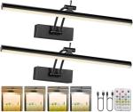 Yuichoy 2 Pack Picture Lights for Wall Battery Operated, 16 inch Wireless Art Lighting for Painting, 6 Colors Picture Frame Lights with Remote, Dimmable 5200mAh Gallery Light, Black
