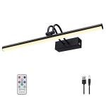 RAIFOOLLY Picture Light,16in Wireless Battery Wall Lighting,Remote Art Lights for Paintings with Timer and Dimmable for Display Photo,Frame,Portrait,Dartboard-Black