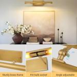 Art Picture Frame Wall Light: 24" Glod Dimmable Vintage Artwork Brass Painting Spotlight - Hardwired Swing Arm Rotatable 3 Lights over Picture - Linear Accent Lighting above Photo for Gallery Bookcase
