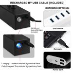 RAIFOOLLY Picture Light,16in Wireless Battery Wall Lighting,Remote Art Lights for Paintings with Timer and Dimmable for Display Photo,Frame,Portrait,Dartboard-Black