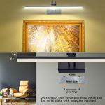 RAIFOOLLY Picture Light,16in Wireless Battery Wall Lighting,Remote Art Lights for Paintings with Timer and Dimmable for Display Photo,Frame,Portrait,Dartboard-Black