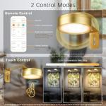 Maooght 3 Pack Gold Battery Operated Picture Light, Wireless Picture Lights for Wall with Remote Dimmable Timer,3 Lighting Modes Pictures Frame Light for Artworking,Magnetic Painting Lights Wall Decor