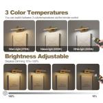 DarHorz Picture Light with Remote 3 Colors Wireless Art Lights for Paintings,Rotatable Wall Sconce Rechargeable Battery Powered Painting Light,Dimmable Light Over Picture Frame for Gallery,Brass