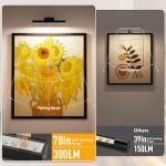 Afyuol Picture Lights for Wall, Battery Operated Picture Light 16in Gallery Light for Paintings CCT Dimmable Recharging Battery Wall Light with Remote Control for Living Room Dartboard Art Bathroom