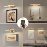 DarHorz Picture Light with Remote 3 Colors Wireless Art Lights for Paintings,Rotatable Wall Sconce Rechargeable Battery Powered Painting Light,Dimmable Light Over Picture Frame for Gallery,Brass