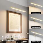 Coinmit Plug in Picture Lights for Wall, 16 inch Dimmable LED Art Light with Remote, 3 Colour Temperature Gallery Painting Wall Light for Picture Display Dartboard Art Work (Gold)