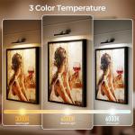 Afyuol Picture Lights for Wall, Battery Operated Picture Light 16in Gallery Light for Paintings CCT Dimmable Recharging Battery Wall Light with Remote Control for Living Room Dartboard Art Bathroom