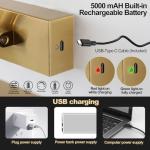 DarHorz Picture Light with Remote 3 Colors Wireless Art Lights for Paintings,Rotatable Wall Sconce Rechargeable Battery Powered Painting Light,Dimmable Light Over Picture Frame for Gallery,Brass