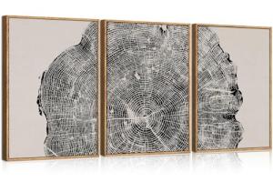 CHDITB Framed Tree Ring Wall Art Set of 3, 24"x36" Abstract Wood Stump Wall Decor, Large Black and White Wall Painting, Neutral Modern Nature Canvas Art Prints for Living Room, Bedroom, Farmhouse