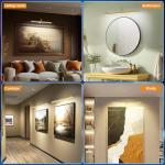 Bridika Picture Lights for Wall Battery Operated, 23.6in Picture Light with Remote, 3 Color Modes and Dimmable Classic Art Light for Paintings, Gallery, Dartboard, Bathroom with Timer (Gold, 1 Pack)