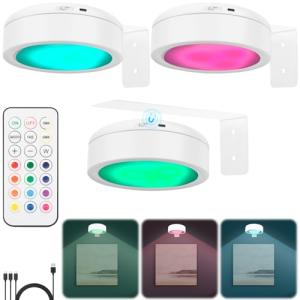 ZEJOROSE Picture Lights for Wall, 2000mAh Rechargeable Battery Magnetic Poster Lights with 2 Color Modes&13 RGB, Dimmable Timer Painting Light, Wall Decor Light for Art Display and Picture