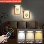 2 PACK Picture Light for Painting Battery with Remote on Wall in Bedroom Living Room, 3Lighting for Wall Art Pictures Posters,Dimmable Timer Set Display Accent Light for Frame Dart Gallery Portrait