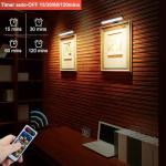 2 PACK Picture Light for Painting Battery with Remote on Wall in Bedroom Living Room, 3Lighting for Wall Art Pictures Posters,Dimmable Timer Set Display Accent Light for Frame Dart Gallery Portrait