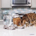 PETMATE Dog Food Dispenser 1.5kg Capacity
