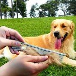 Double-Sided Stainless Steel Pet Grooming Comb