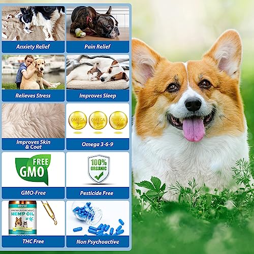 Organic CBD Oil for Dogs - Pain Relief & Calm