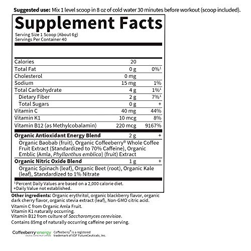 Garden of Life Sport Organic Pre-Workout Powder, Blackberry Cherry